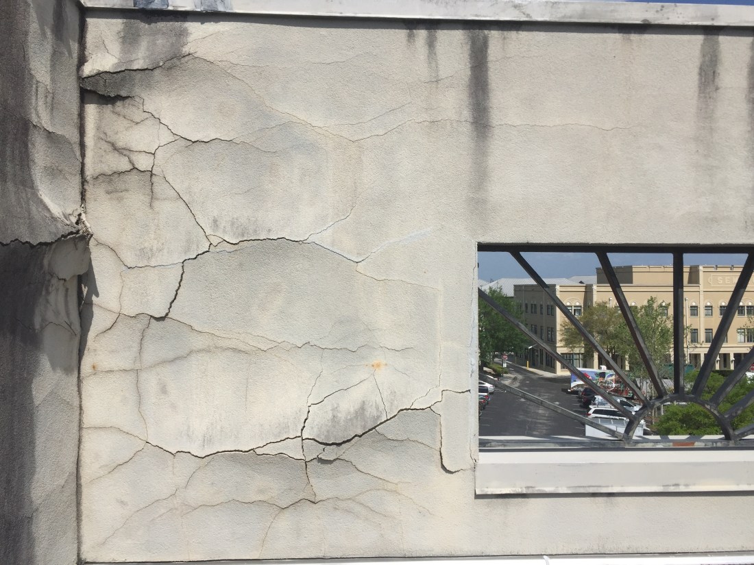 img_4956_26863119472_o