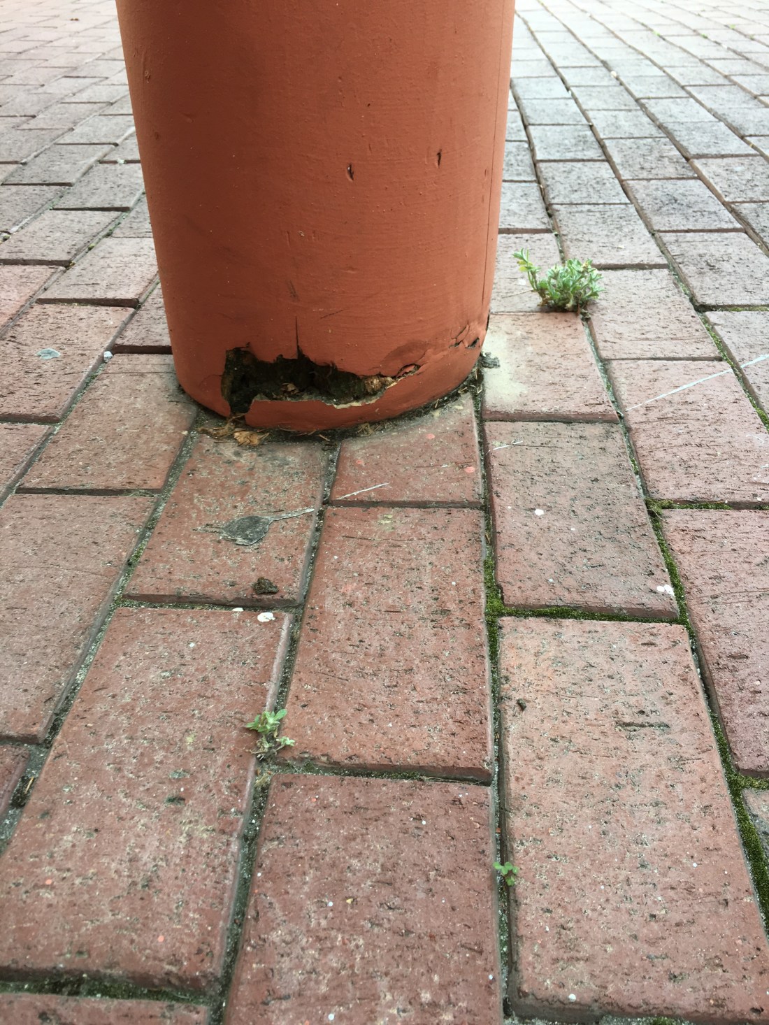 post-office-beams-by-entrance-wood-rotpaint_27034401025_o