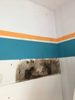 15134305_10154726832663033_1334109906_n