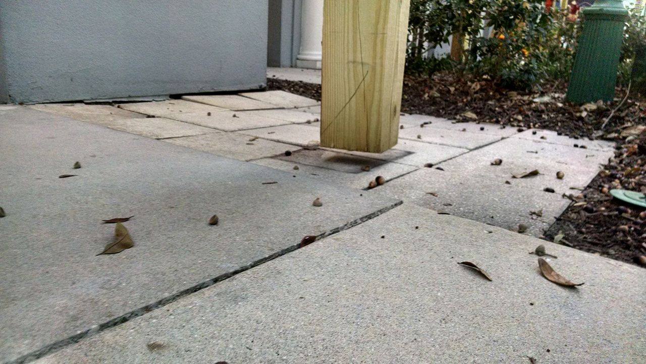 15224669_10154408069907740_616591006_o-2