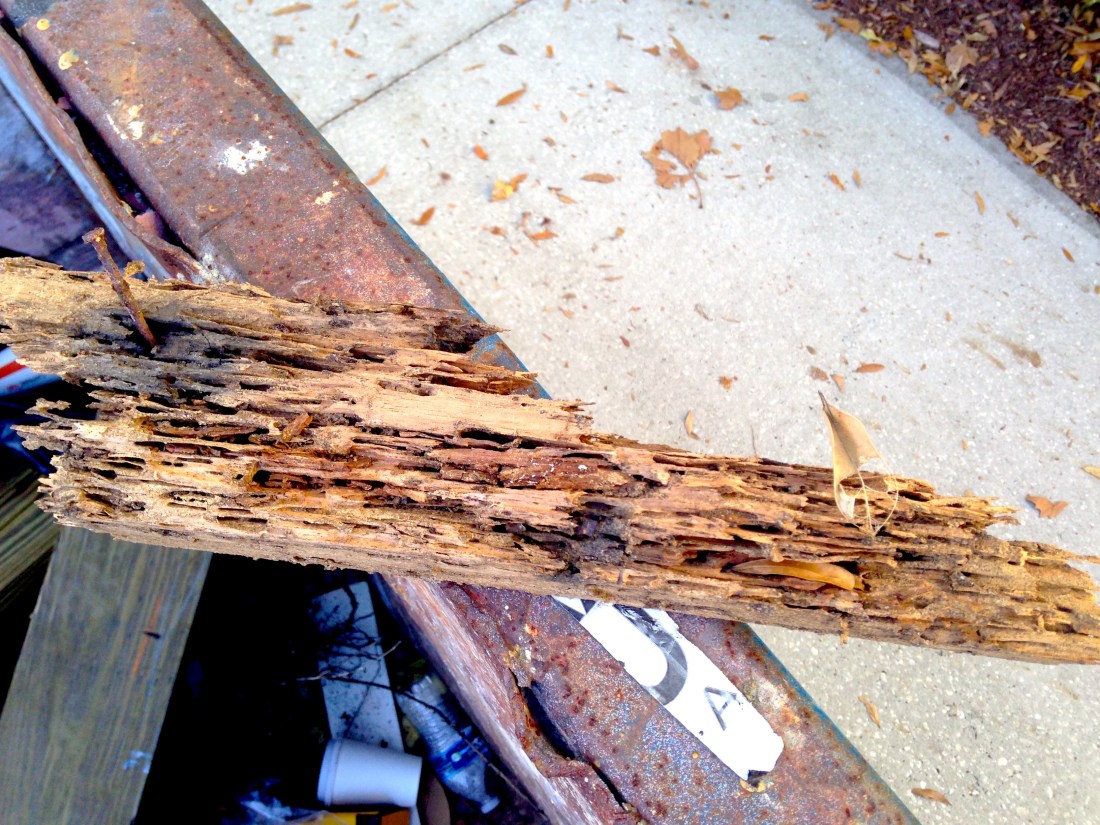 26818665226_0289ed00e9_o